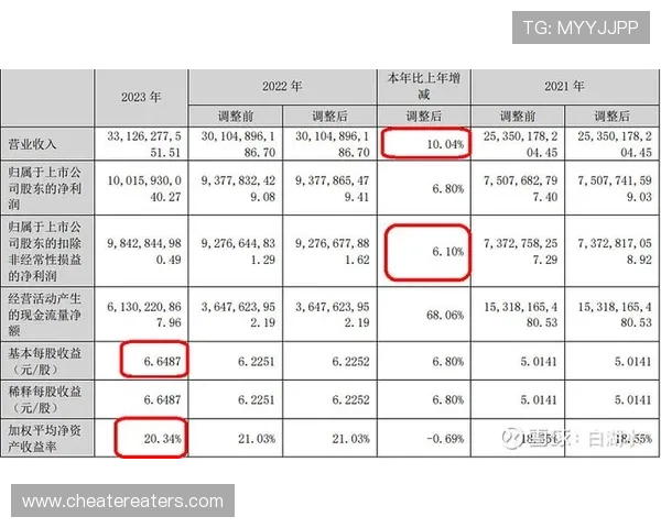 开云集团2023年财务表现与行业趋势对比分析报告