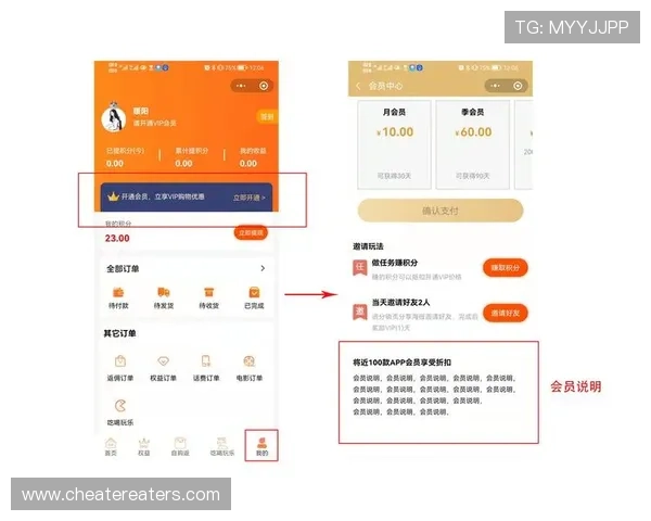 开云会员等级怎么升，提升会员等级的实用建议与常见操作步骤解析